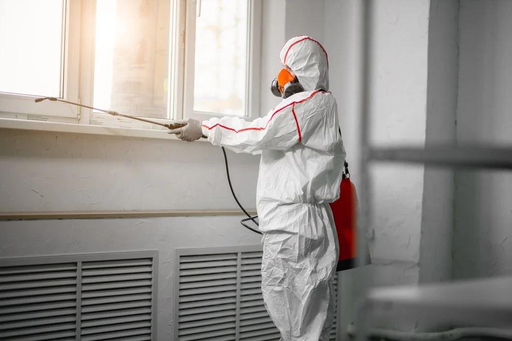 Professional mold remediation services in Port Washington, WI